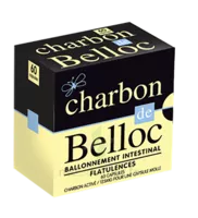 Charbon De Belloc 125 Mg Caps Molle B/60 à MIRANDE