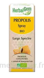 Herbalgem Propolis Large Spectre Solution Buvable Bio Spray/15ml à MIRANDE